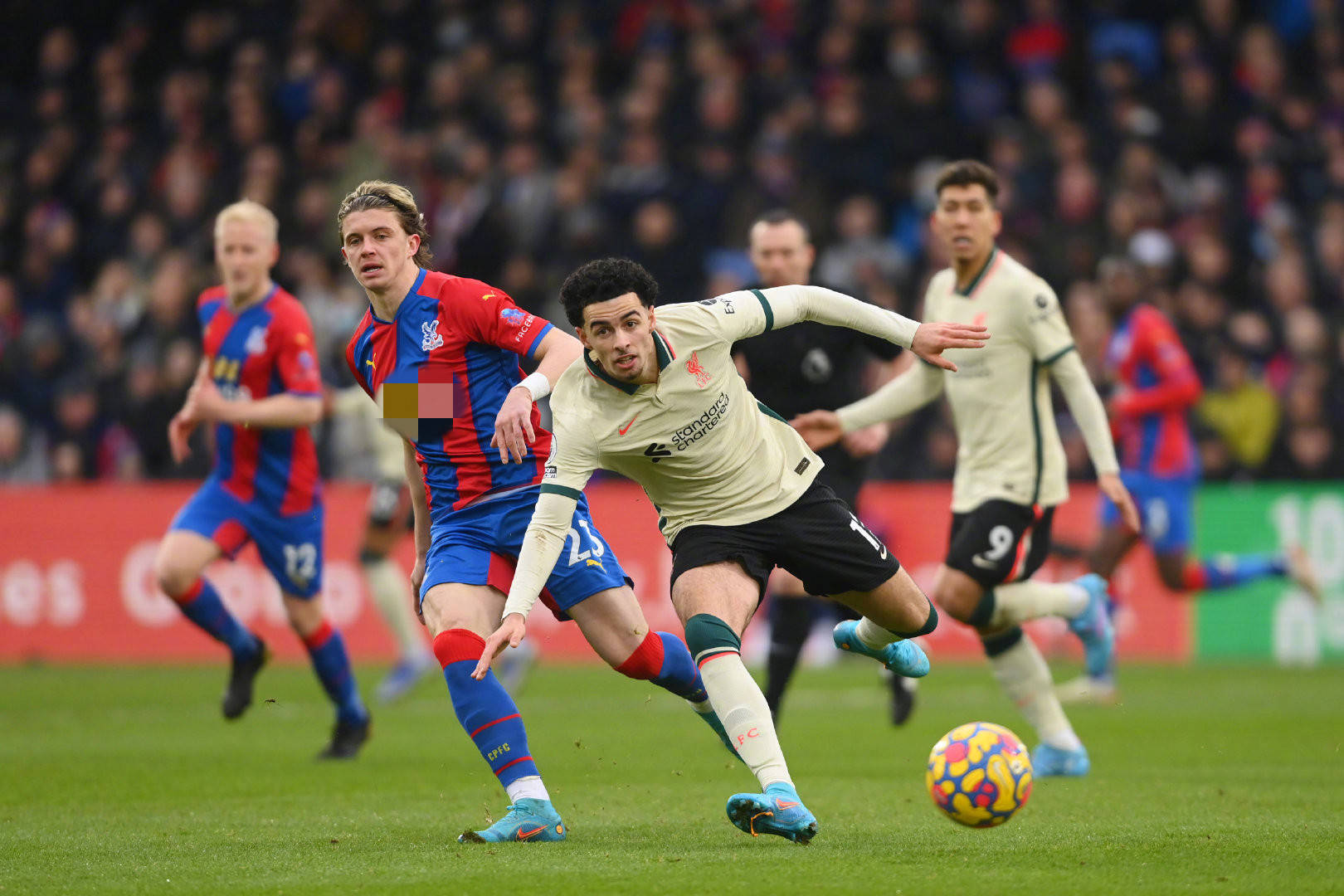 质健康的重 质健康的重